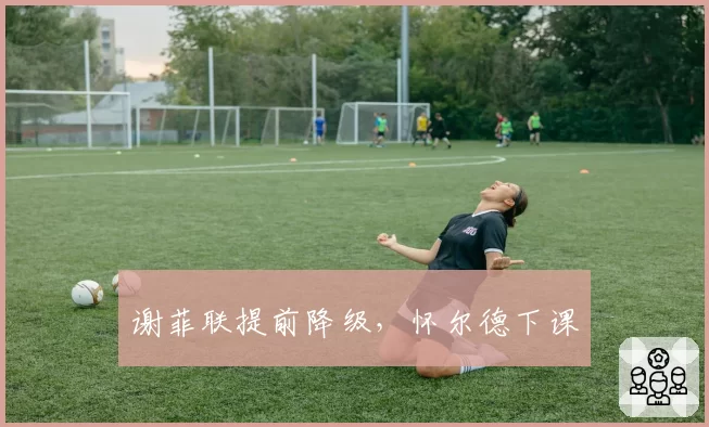 谢菲联提前降级，怀尔德下课