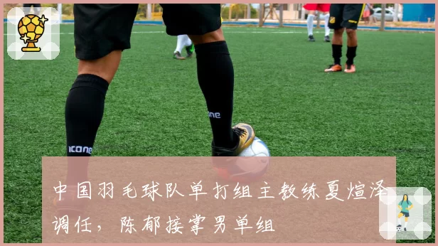 中国羽毛球队单打组主教练夏煊泽调任，陈郁接掌男单组